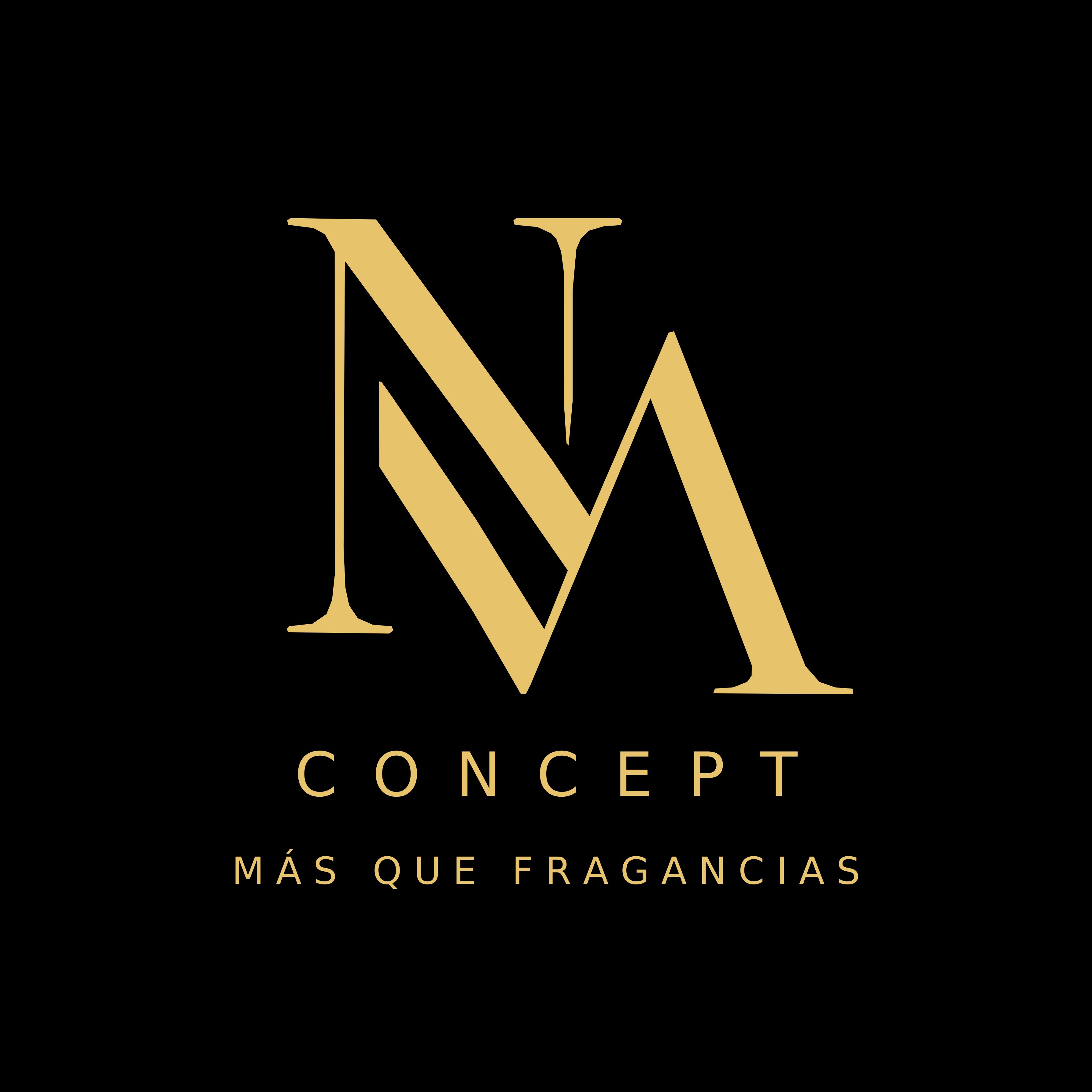 Logo NVA Concept